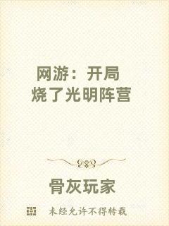 網(wǎng)游：開局燒了光明陣營(yíng)