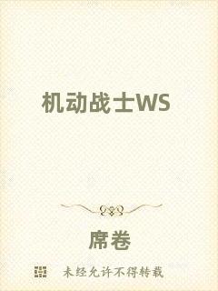 機動戰(zhàn)士WS